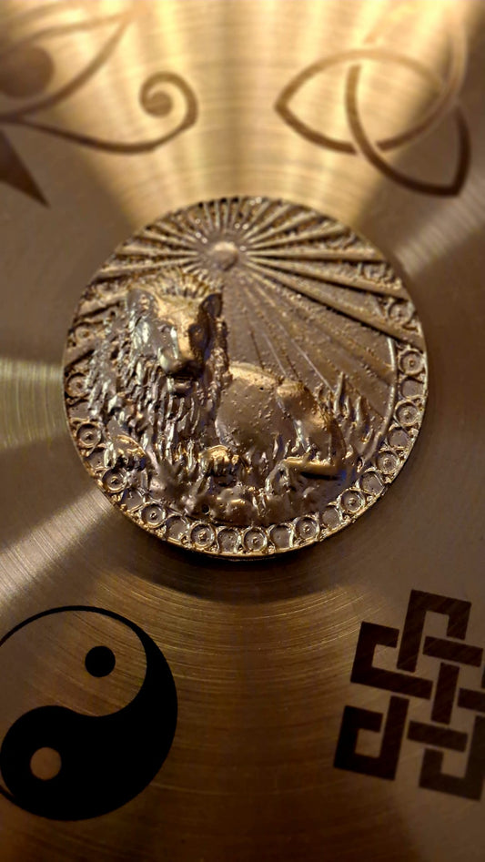 Golden shungit orgon pocket