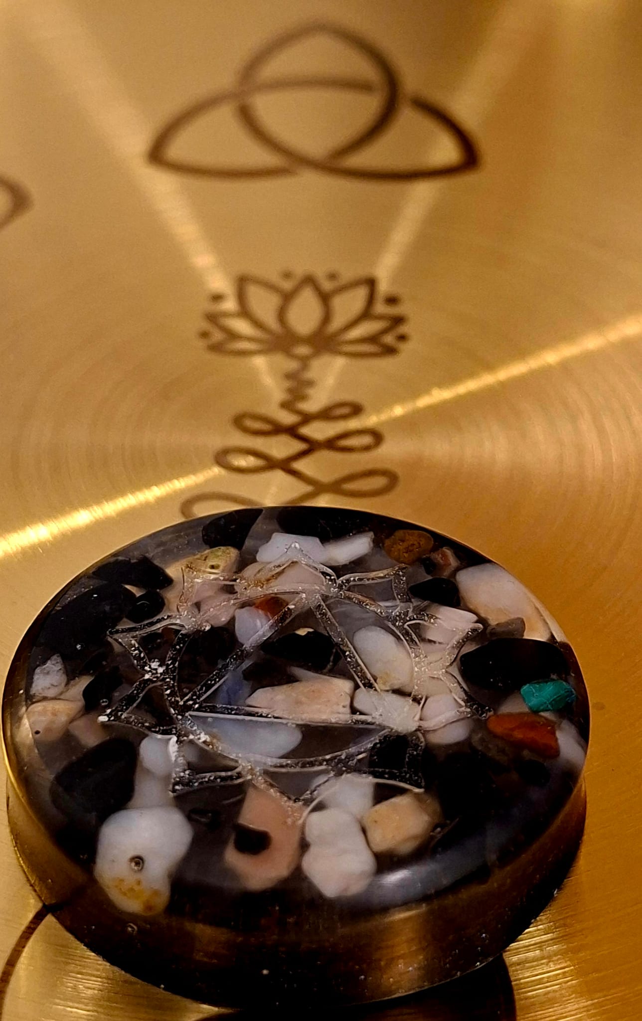 Orgon pocket