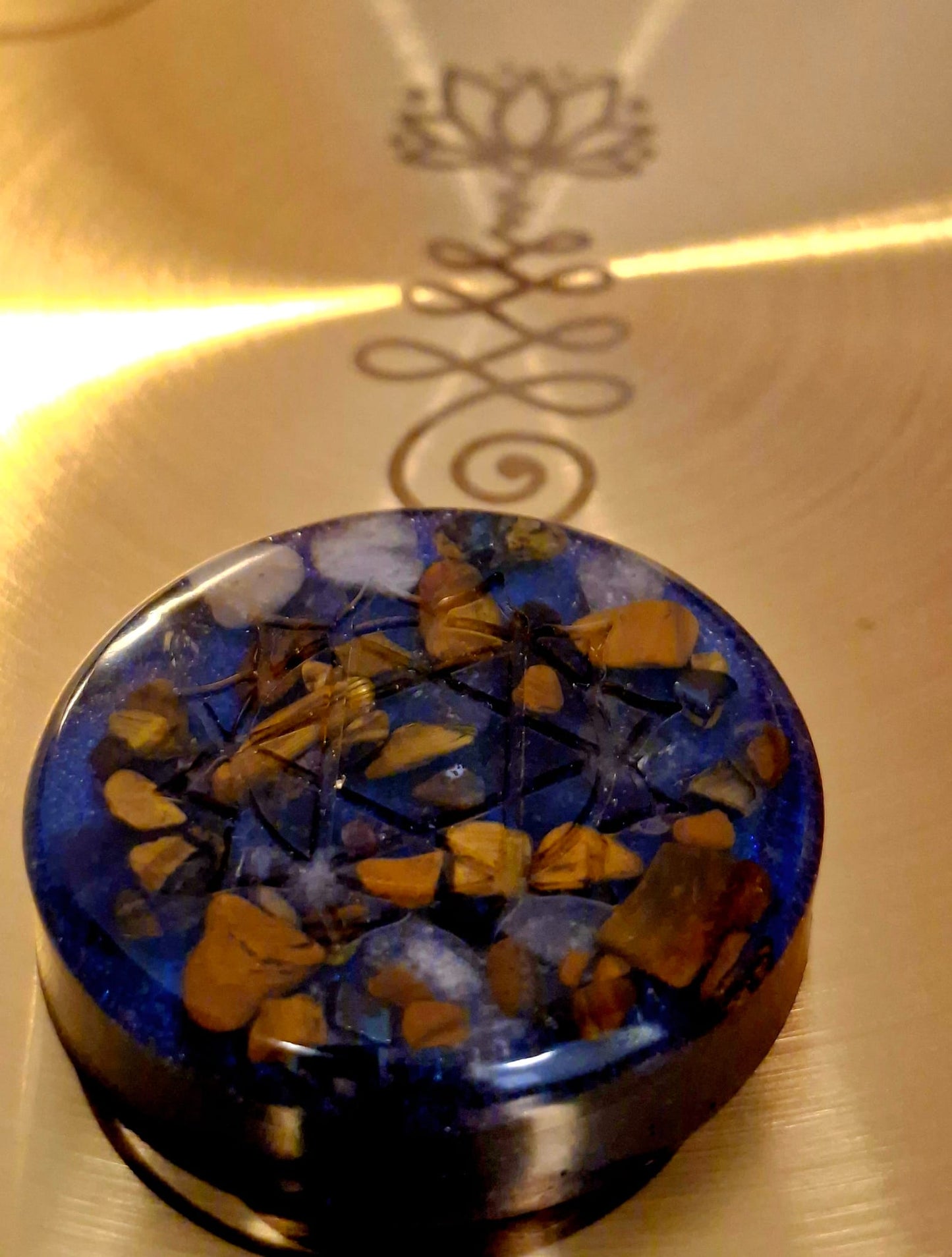 Orgon pocket