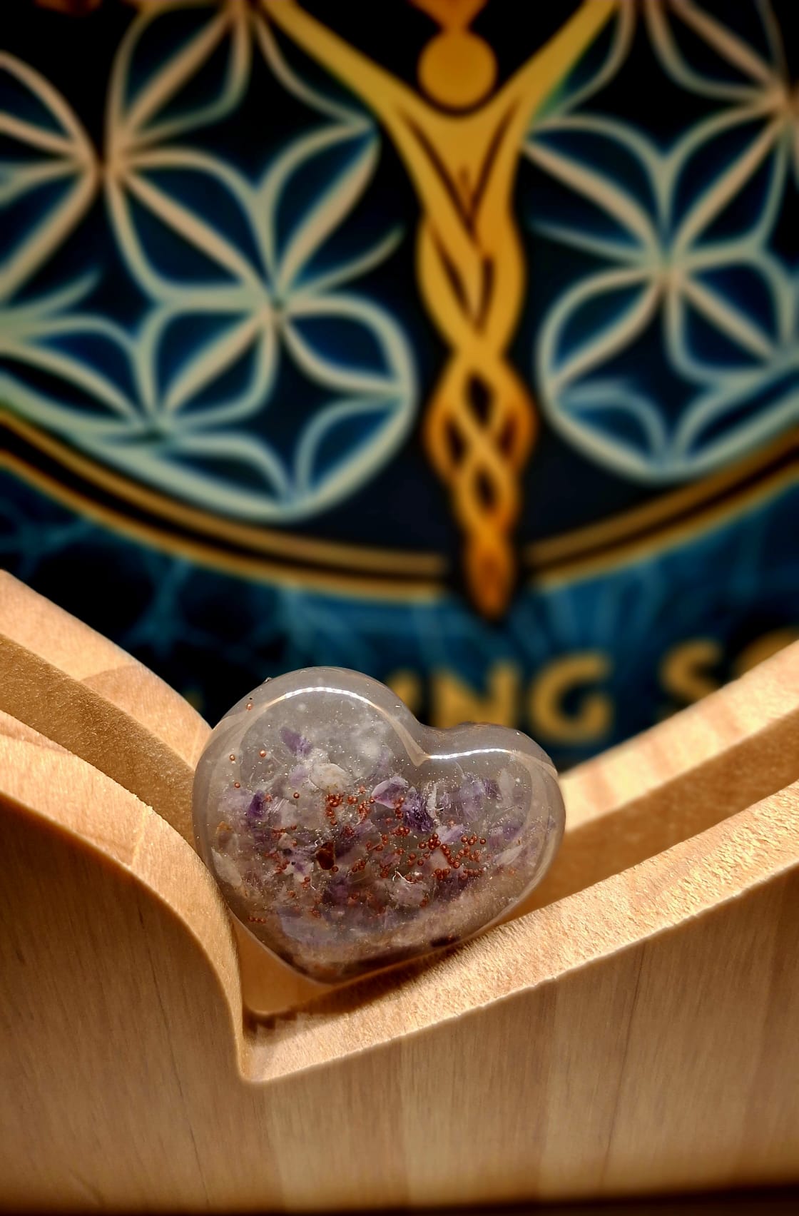 Orgon pocket