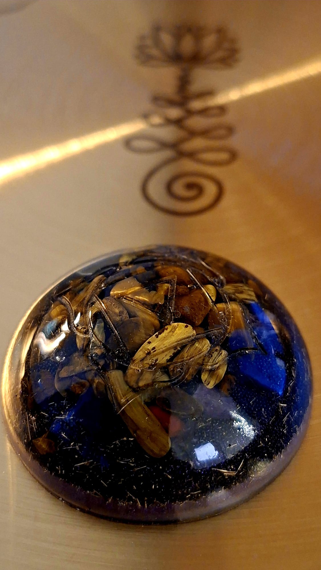 Orgon pocket