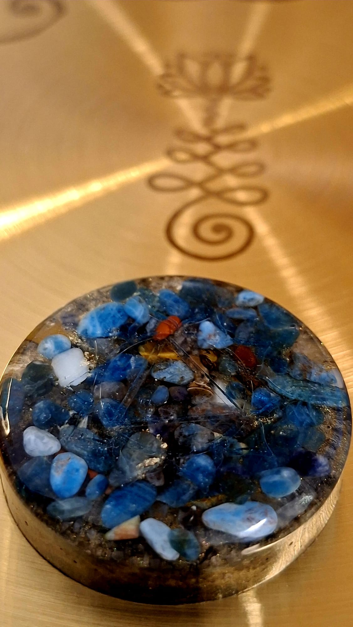 Orgon pocket