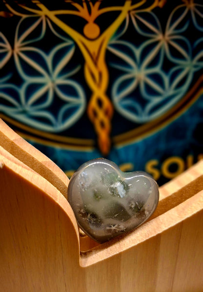 Orgon pocket