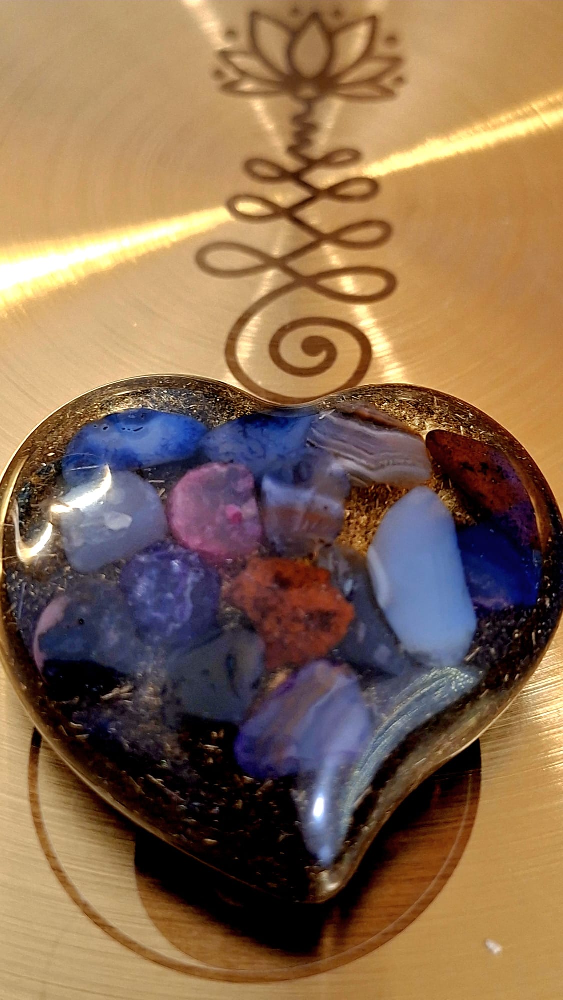 Orgon pocket