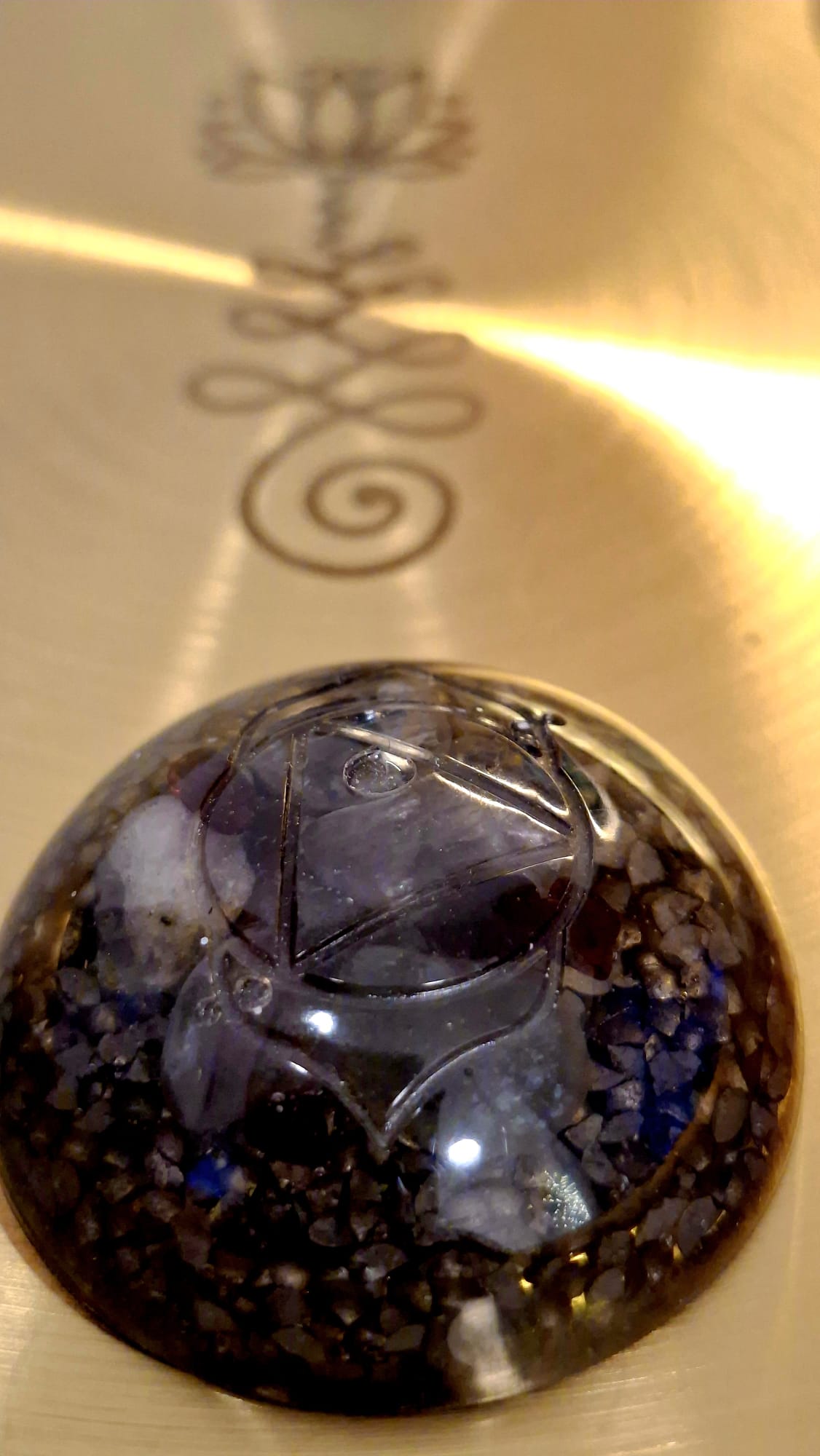 Orgon pocket